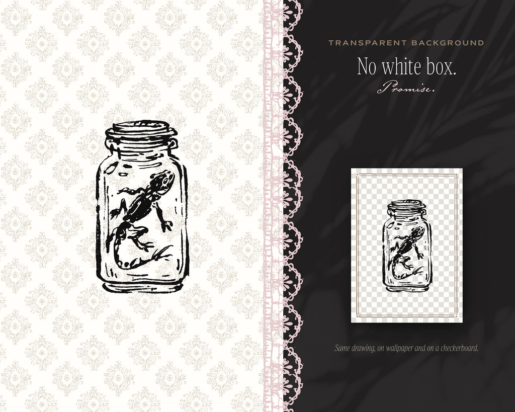 Cabinet of Curiosities Doodle Pack, no white box