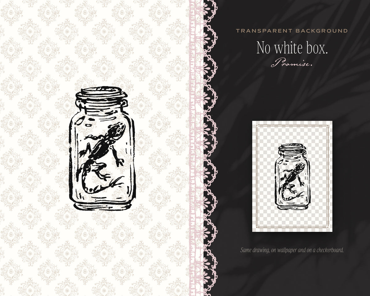 Cabinet of Curiosities Doodle Pack, no white box