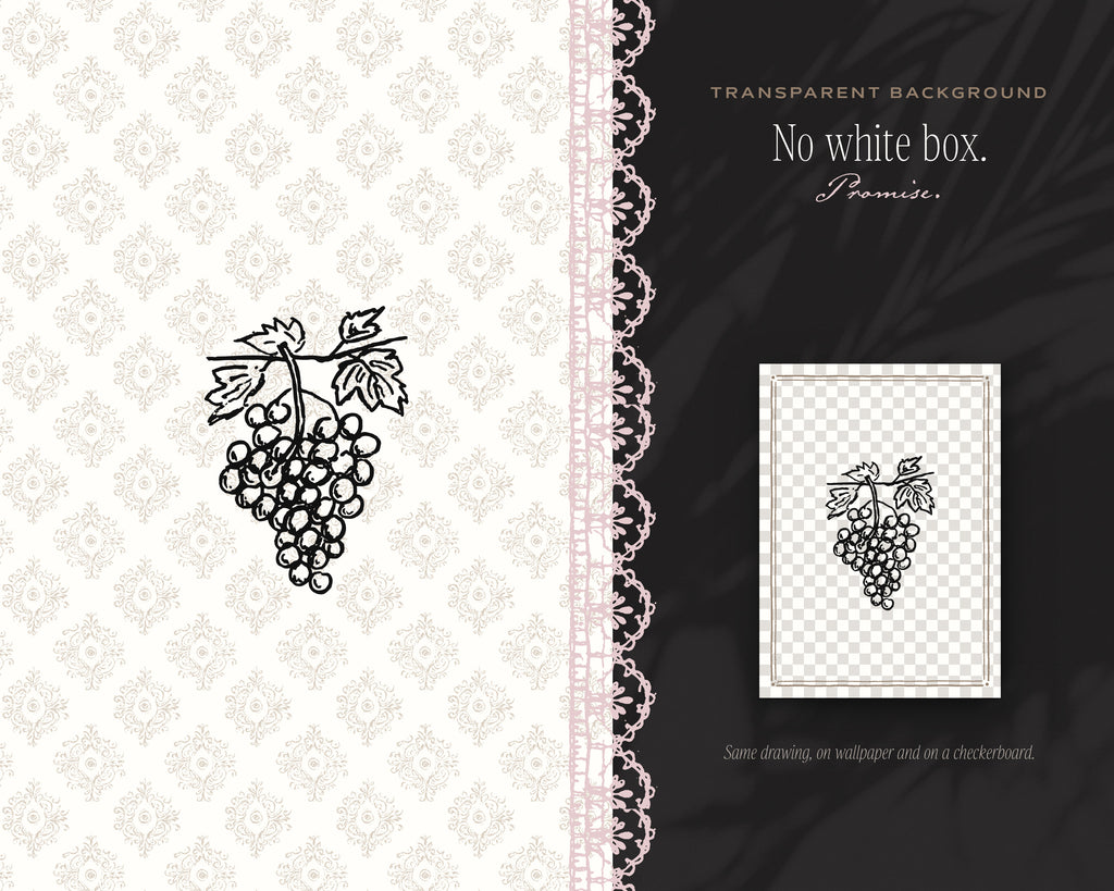 European Summer Doodle Pack, no white box