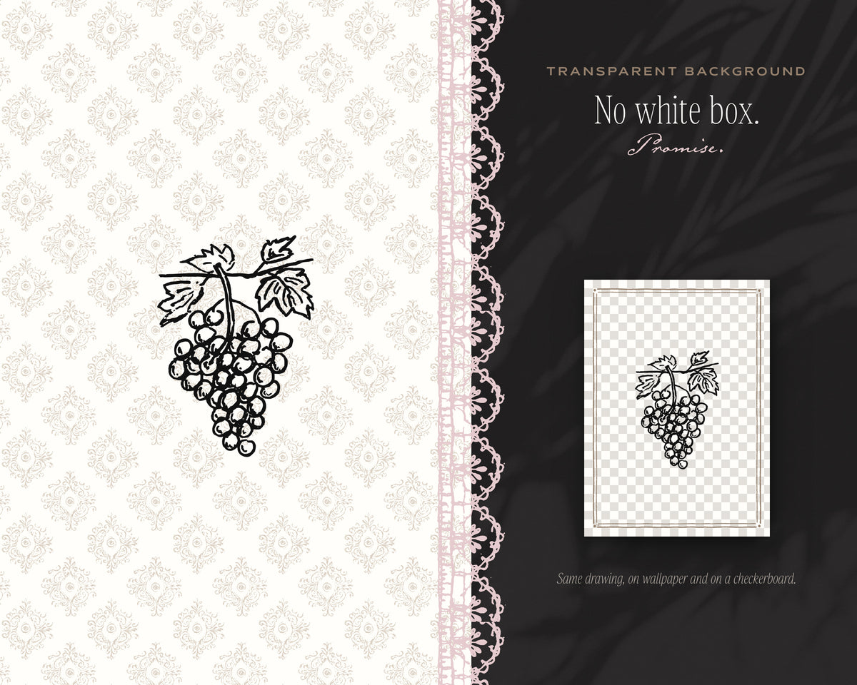 European Summer Doodle Pack, no white box