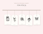 Fairy Forest Doodle Pack, on the rail