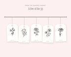 Flowers Doodle Pack, on the rail