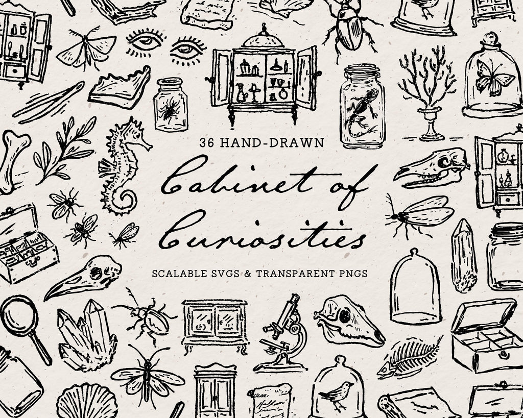 Cabinet of Curiosities Doodle Pack, preview 1