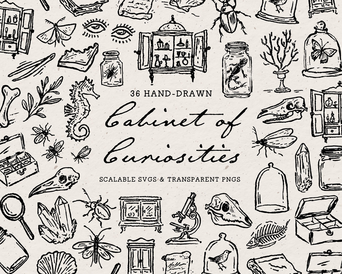 Cabinet of Curiosities Doodle Pack, preview 1