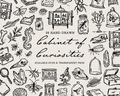 Cabinet of Curiosities Doodle Pack, preview 1