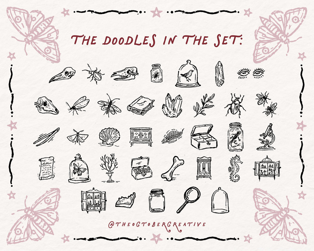Cabinet of Curiosities Doodle Pack, preview 5