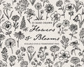 Flowers Doodle Pack, preview 1