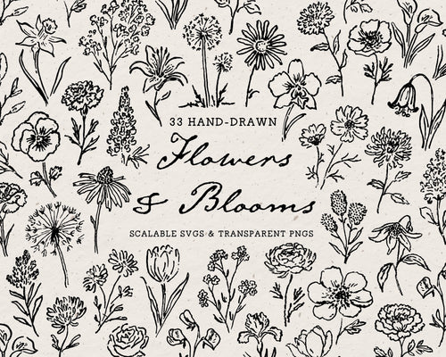 Flowers Doodle Pack