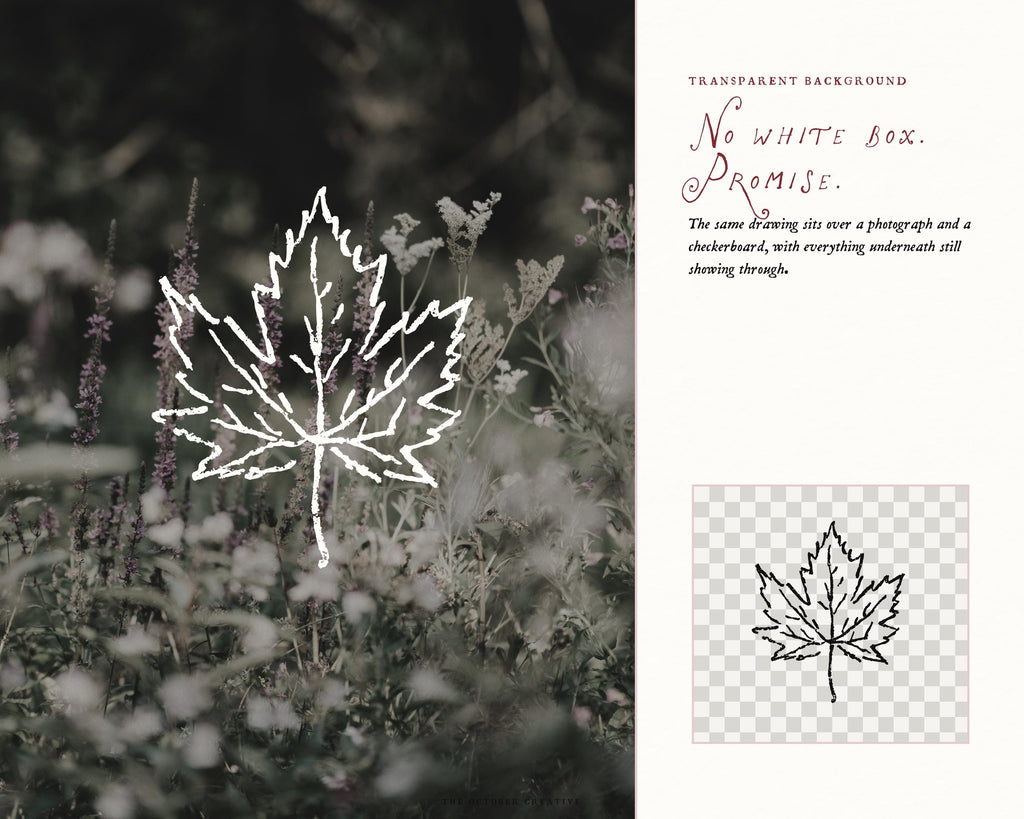 Thanksgiving Doodle Pack, preview 15