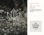 Thanksgiving Doodle Pack, preview 15