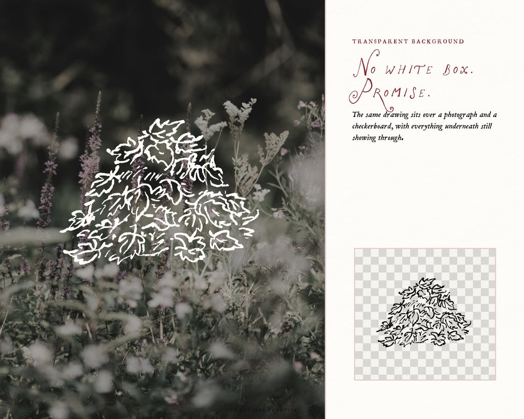 Cozy Autumn Doodle Pack, preview 14