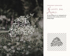 Cozy Autumn Doodle Pack, preview 14