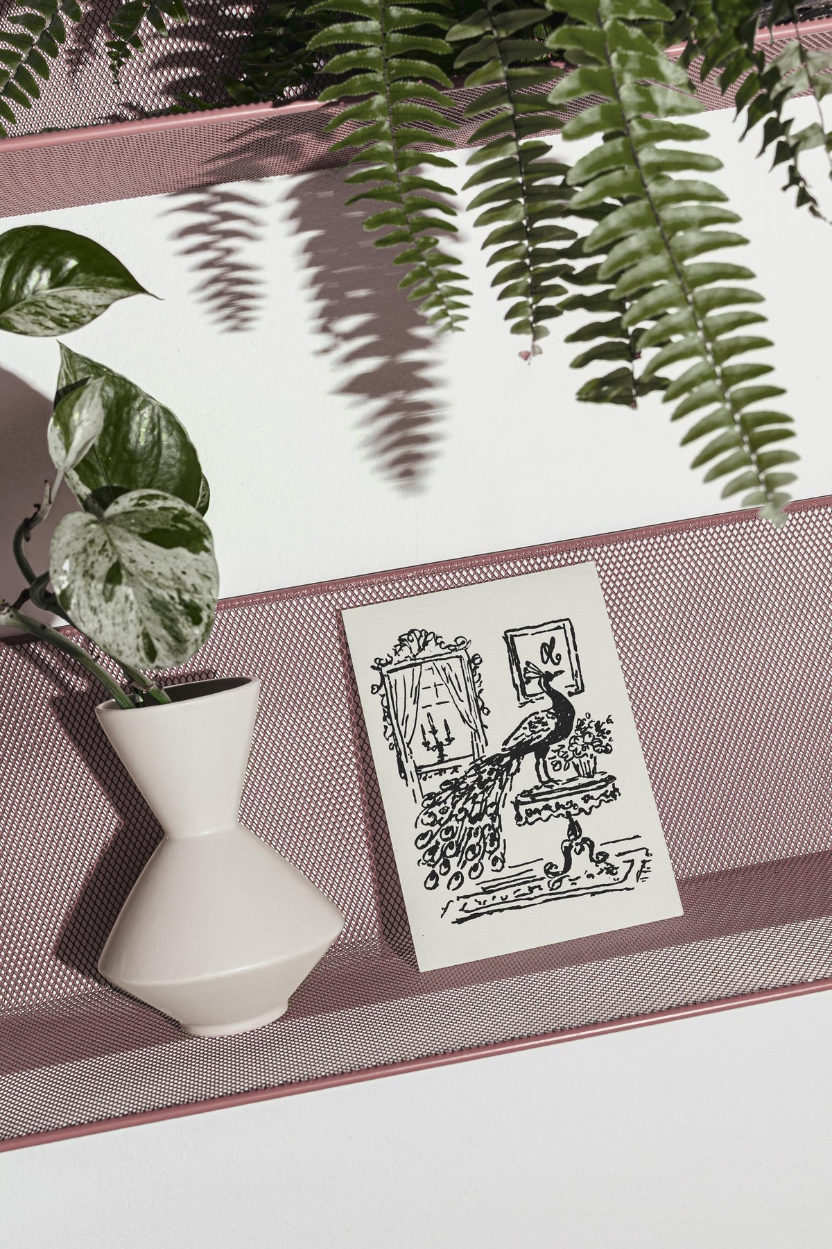 Peacock Art Print, preview 9