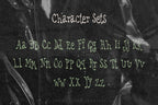Hannah Has Secrets Font, preview 3