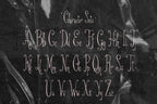 Lace Me Up My Love Font, preview 4