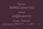 Odd Little Lady Font, preview 3