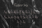 Odd Little Lady Font, preview 4