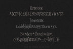 Silkspun Font, preview 3