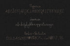 The Cecily Show Font, preview 3