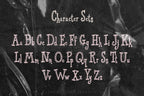 Lacedrunk Font, preview 4