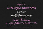 Somebody Spiked the Punch Font, preview 3
