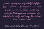 Somebody Spiked the Punch Font, preview 6
