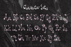 Prickle & Plume Font, preview 4