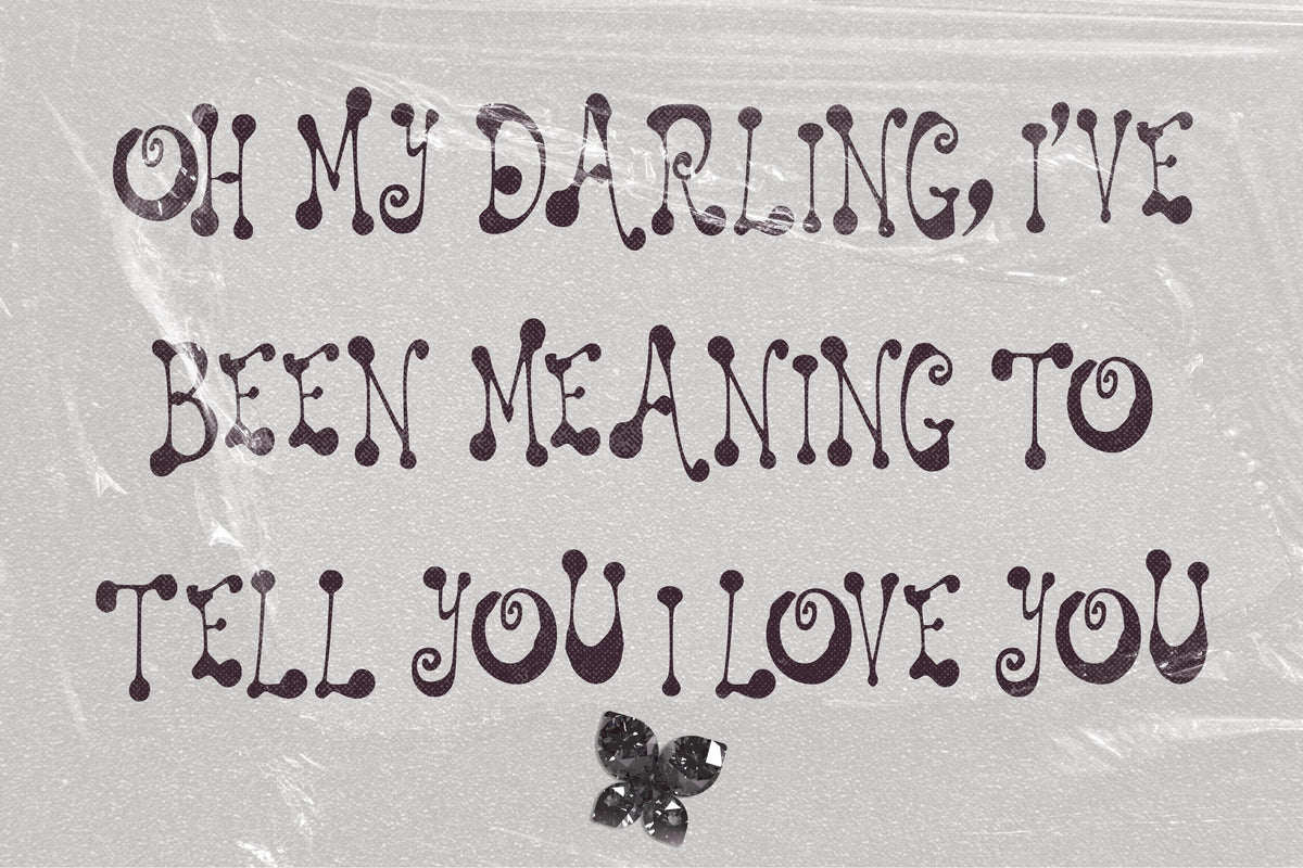 Prickle & Plume Font, preview 7