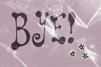 Prickle & Plume Font, preview 9