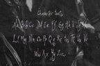 Spindlespun Font, preview 4