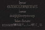 Beatrice Bites Back Font, preview 3