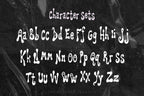 Wake the Neighbors Font, preview 4