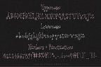 Lightest Little Lie Font, preview 3