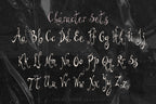 Dottie Did It Font, preview 4