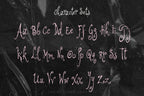 Blushstruck Font, preview 4