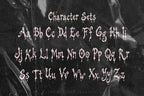 Ruinous Font, preview 4