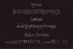 Plumdrunk Font, preview 3