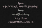 Mimsy Drifts Font, preview 3