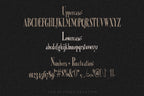 Downtown Darling Font, preview 3