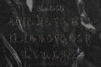 The Cecily Show Font, preview 4