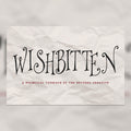 Wishbitten Font, preview 1
