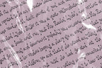 Prickle & Plume Font, preview 5