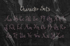 Agnes After Dark Font, preview 4