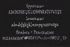 Tinsel & Teeth Font, preview 3