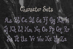 Whirlabout Font, preview 4