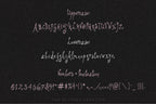 Blushstruck Font, preview 3