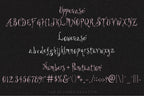 Swoonspun Font, preview 3