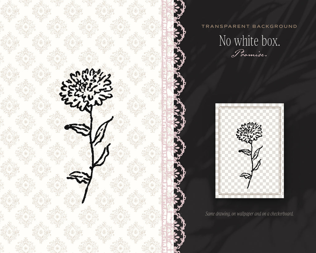 Spring 4-Pack Doodle Bundle, no white box