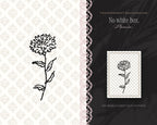 Spring 4-Pack Doodle Bundle, no white box