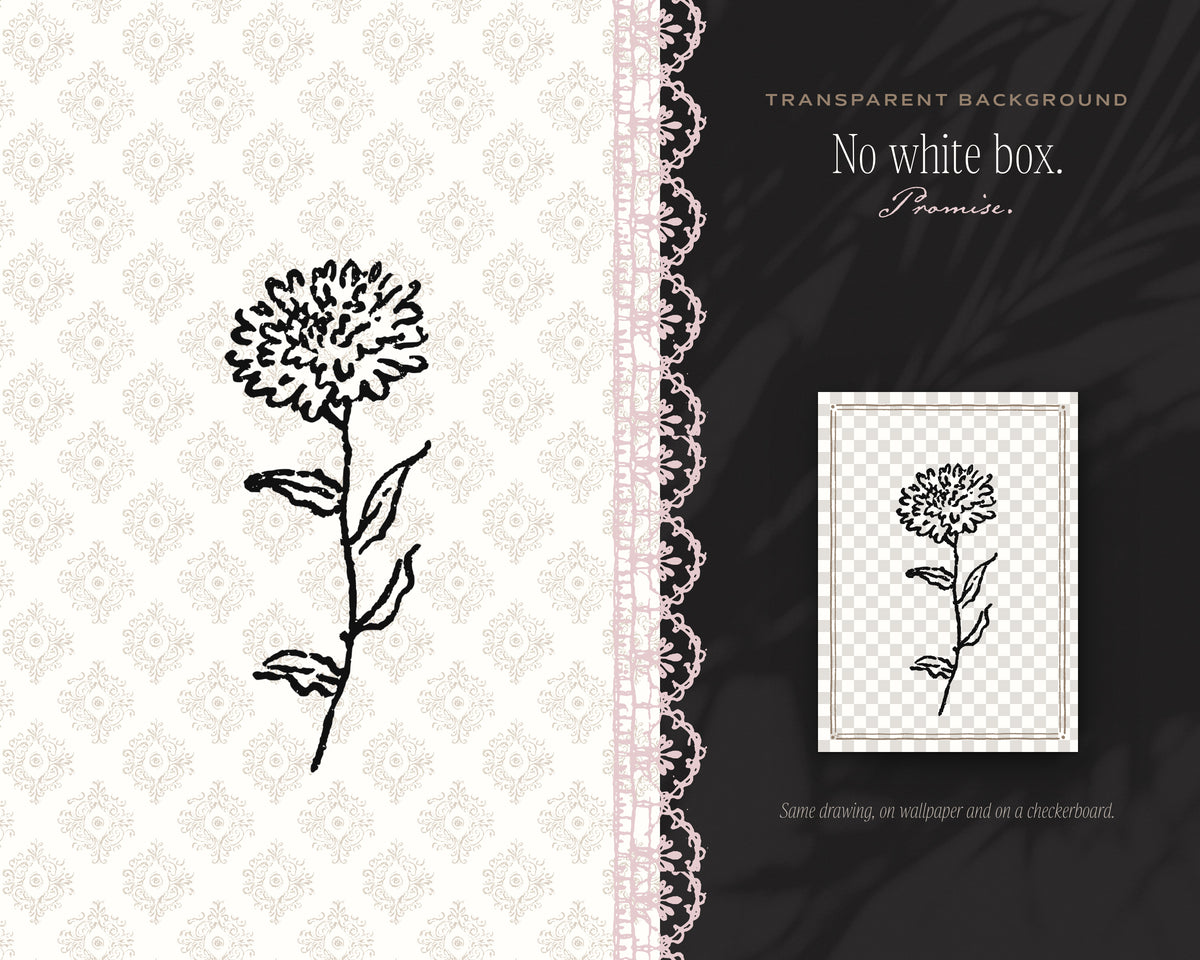 Spring 4-Pack Doodle Bundle, no white box